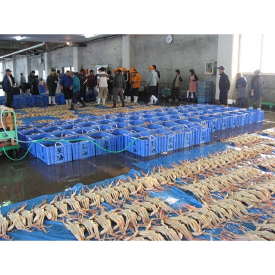 【さかなや新鮮組】鳥取県産 ブランドタグ付き 浜茹で松葉ガニ(大)800g以上 1枚 漁港直送