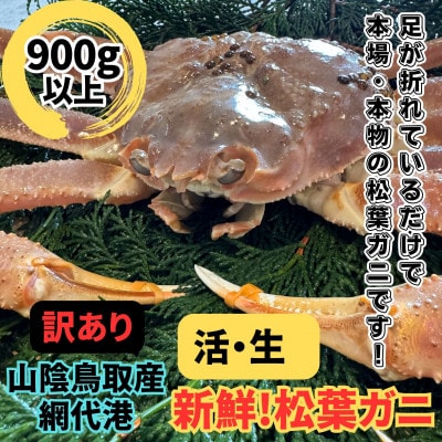 【さかなや新鮮組】鳥取県産 訳あり 活松葉ガニ(900g以上) 1枚 漁港直送