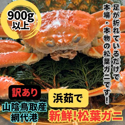 【さかなや新鮮組】鳥取県産 訳あり 浜茹で松葉ガニ(900g以上) 1枚 漁港直送