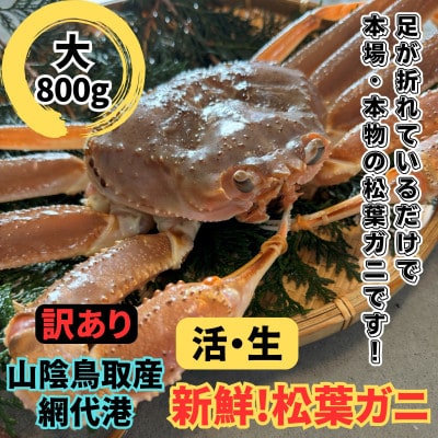 【さかなや新鮮組】鳥取県産 訳あり 活松葉ガニ(大)800g以上 1枚 漁港直送