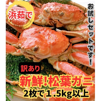 【さかなや新鮮組】鳥取県産 訳あり 浜茹で 松葉ガニ1.5kgセット ご家庭用 漁港直送
