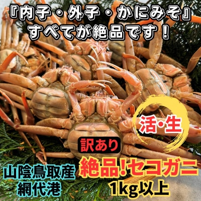 【さかなや新鮮組】鳥取県産 訳あり 活 絶品セコガニ1.0kgセット ご家庭用 漁港直送