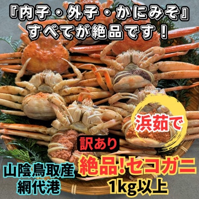 【さかなや新鮮組】鳥取県産 訳あり 浜茹で 絶品セコガニ1.0kgセット ご家庭用 漁港直送