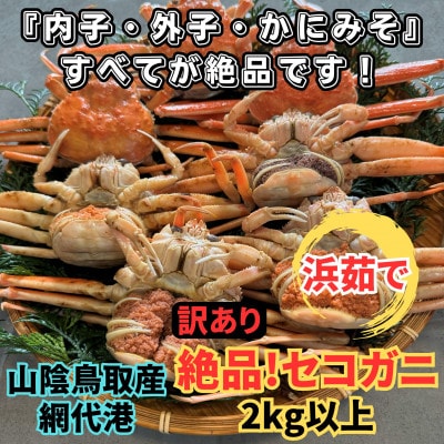 【さかなや新鮮組】鳥取県産 訳あり 浜茹で 絶品セコガニ2.0kgセット ご家庭用 漁港直送