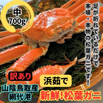 【さかなや新鮮組】鳥取県産 訳あり 浜茹で松葉ガニ(中)700g以上 1枚 漁港直送