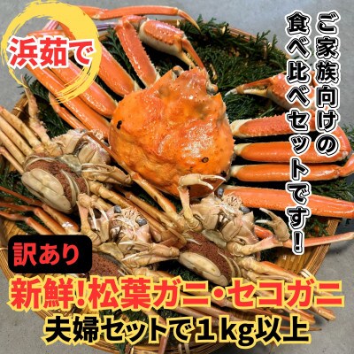 【さかなや新鮮組】鳥取県産 訳あり 浜茹で松葉ガニ・セコガニ1.0kgセット ご家庭用 漁港直送