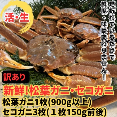【さかなや新鮮組】鳥取県産 訳あり 活松葉ガニ1枚(900g以上)・セコガニ3枚セット 漁港直送
