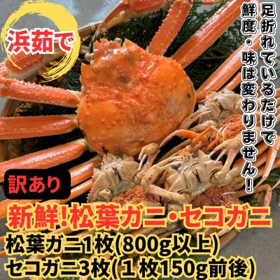 【さかなや新鮮組】鳥取県産 訳あり 浜茹で松葉ガニ1枚(800g以上)・セコガニ3枚セット 漁港直送
