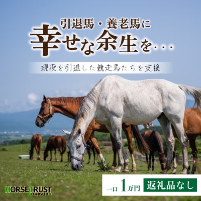 【引退競走馬 余生支援】北海道 岩内町 ホーストラスト北海道支援 (10)  F21H-556