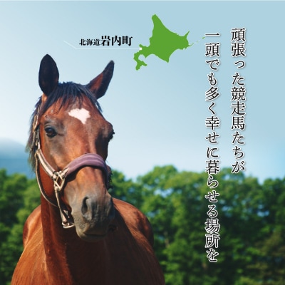 【引退競走馬 余生支援】北海道 岩内町 ホーストラスト北海道支援 (10)  F21H-556