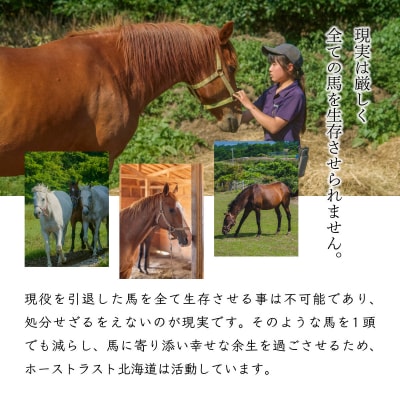 【引退競走馬 余生支援】北海道 岩内町 ホーストラスト北海道支援 (5)  F21H-558