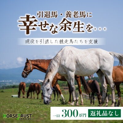 【引退競走馬 余生支援】北海道 岩内町 ホーストラスト北海道支援 (300)  F21H-570