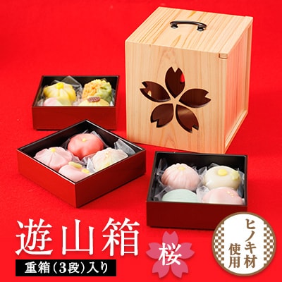 遊山箱【桜】