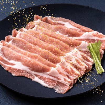 豚肉巻きおむすび 計10個 徳島県産