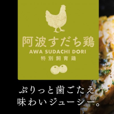 すだチキンバーガー5個入 計850g 徳島県産