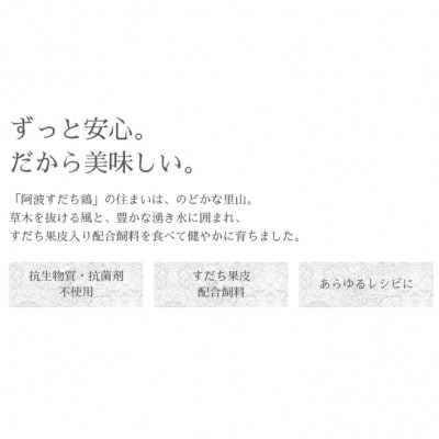 すだチキンバーガー5個入 計850g 徳島県産