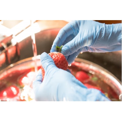 冷凍いちご 徳島県産 計1kg