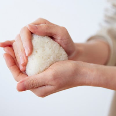 地元の中学生考案 ハモっ天むす 計650g