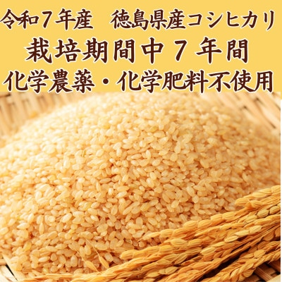 栽培期間中7年間化学農薬・化学肥料不使用　徳島県産コシヒカリ　10kg　玄米