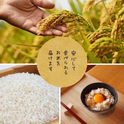 栽培期間中8年間化学農薬・化学肥料不使用栽培米　徳島県産コシヒカリ　10kg　精米