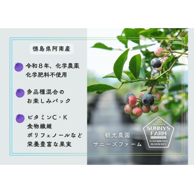 徳島県産冷凍ブルーベリー(栽培期間中化学農薬不使用) 計1500g
