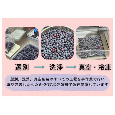 徳島県産冷凍ブルーベリー(栽培期間中化学農薬不使用) 計1500g