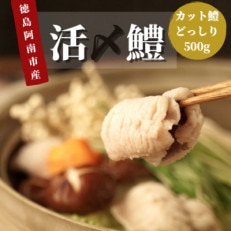 鮮度抜群!活け〆カットはも!　500g | ふるさと納税のお礼品