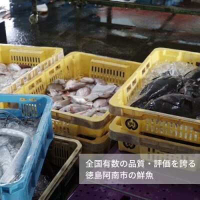 鮮度抜群!活け〆カットはも!　500g