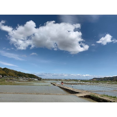 2020年徳島県産有機栽培コシヒカリ胚芽米5kg(栽培期間中肥料・農薬不使用、手作業で除草)