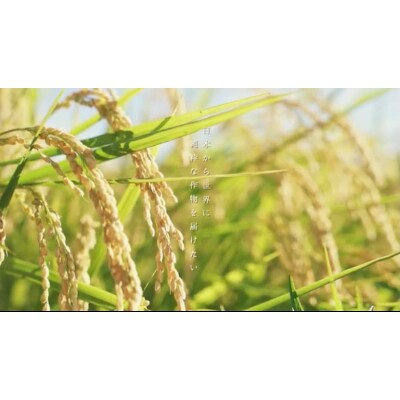 2021年徳島県産コシヒカリ玄米5kg(栽培期間中肥料・農薬不使用、手作業で除草)