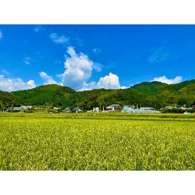 2021年徳島県産コシヒカリ玄米2kg(栽培期間中肥料・農薬不使用、手作業で除草)