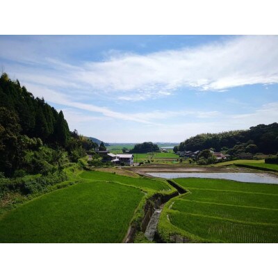 2022年特別栽培米　徳島県産コシヒカリ胚芽米5kg(栽培期間中肥料・農薬不使用、手作業で除草)