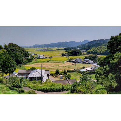 2022年特別栽培米　徳島県産コシヒカリ玄米5kg(栽培期間中肥料・農薬不使用、手作業で除草)