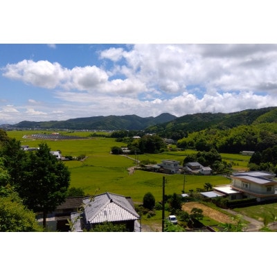 【古くからの農家しか知らない】阿波照　日和米(2023年徳島県産コシヒカリ胚芽米)日常用3kg