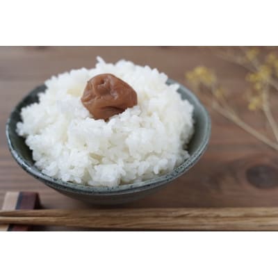 徳島県産コシヒカリ「阿波美人」令和5年産 5kg