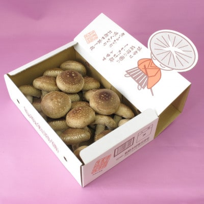 徳島県産菌床生椎茸　しいたけ侍　20枚入