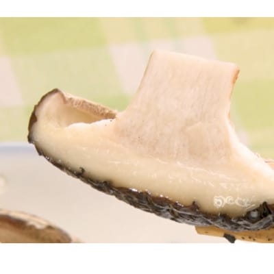 徳島県産菌床生椎茸　しいたけ侍　20枚入