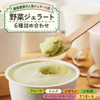 【野菜セット6種】農家直営の人気ジェラート店　ジェラート詰め合わせ
