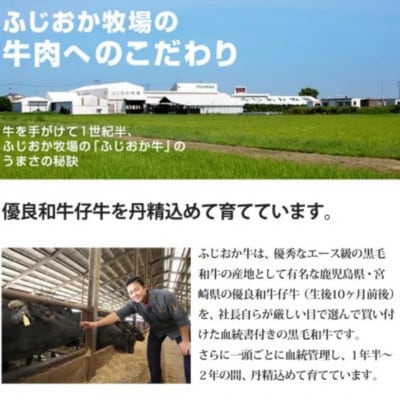 【ステーキギフト600g】サーロインステーキ3枚　阿波牛高級黒毛和牛ふじおか牧場から直送でお届け!