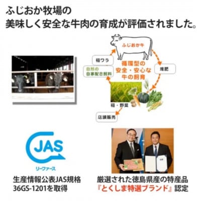 【ステーキギフト600g】サーロインステーキ3枚　阿波牛高級黒毛和牛ふじおか牧場から直送でお届け!
