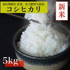 【令和7年産　新米先行予約】コシヒカリ白米5kg《栽培期間中農薬・化学肥料不使用》徳島県阿南市産
