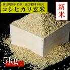 【令和7年産　新米先行予約】コシヒカリ玄米5kg《栽培期間中農薬・化学肥料不使用》徳島県阿南市産