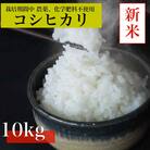 【令和7年産　新米先行予約】コシヒカリ白米10kg《栽培期間中農薬・化学肥料不使用》徳島県阿南市産