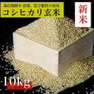 【令和7年産　新米先行予約】コシヒカリ玄米10kg《栽培期間中農薬・化学肥料不使用》徳島県阿南市産