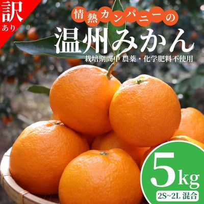 【訳あり・糖度10度以上】みかん 5kg　栽培期間中農薬・化学肥料不使用