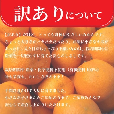 【訳あり・糖度10度以上】みかん 5kg　栽培期間中農薬・化学肥料不使用