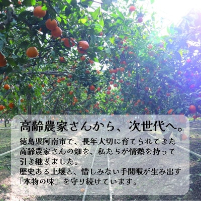 【訳あり・糖度10度以上】みかん 5kg　栽培期間中農薬・化学肥料不使用