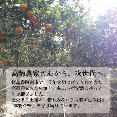 栽培期間中農薬・化学肥料不使用!ストレートみかんジュース600ml2本　情熱カンパニー　ご自宅用