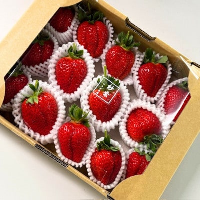 先行受付《特大14～20粒 》紗奈～はまだ農園　いちごミックス　大粒いちご　1粒30g以上