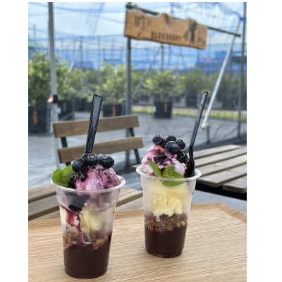 みき農園のとびきり!ブルーベリーパフェ体験セット